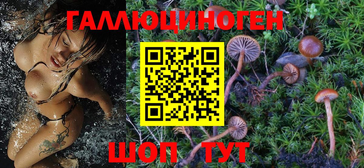 Псилоцибиновые грибы мухоморы Карталы